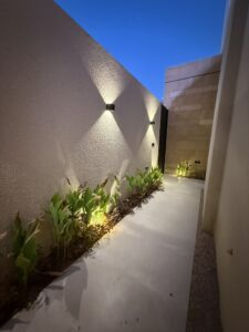 img 8882