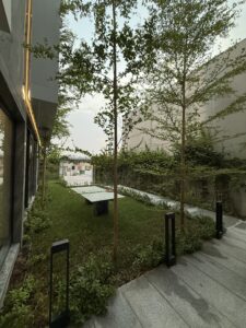 img 9963